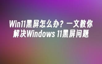 Win11 검은 화면이 Windows_11 검은 화면 문제를 해결하는 방법을 알려주는 경우 수행할 작업