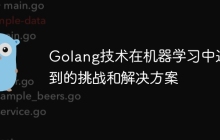 Golang技术在机器学习中遇到的挑战和解决方案