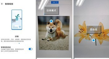Introduction to the smart visual function of Honor 30s