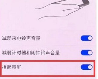 华为畅享9plus使用抬手亮屏的详细步骤