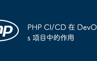 Le rôle de PHP CI/CD dans les projets DevOps