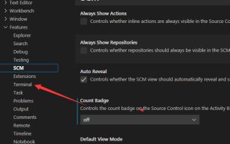Vscode でアニメーションを開く方法 Vscode でアニメーションを開く方法の紹介