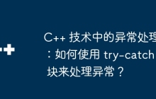 C++ 技术中的异常处理：如何使用 try-catch 块来处理异常？