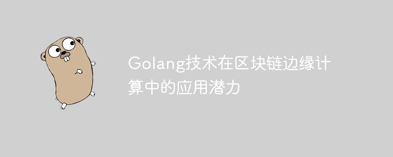 블록체인 엣지 컴퓨팅에서 Golang 기술의 응용 가능성