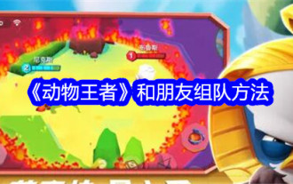 Wie man in „Animal King' ein Team mit Freunden bildet