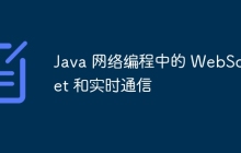 Java 网络编程中的 WebSocket 和实时通信