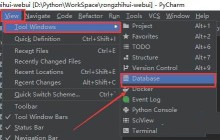 PyCharm怎么打开连接页面 PyCharm打开连接页面的方法