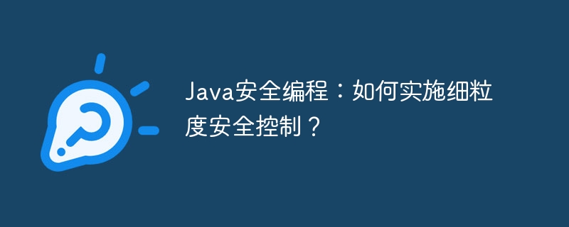 Java安全编程：如何实施细粒度安全控制？