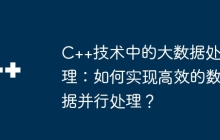 C++技术中的大数据处理：如何实现高效的数据并行处理？
