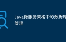 Java微服务架构中的数据库管理