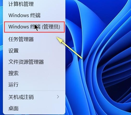 Windows11怎么重设管理终端目录 重设管理终端目录方法