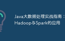 Java大数据处理实战指南：Hadoop与Spark的应用
