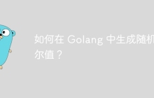 如何在 Golang 中生成随机布尔值？