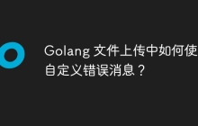 Golang 文件上传中如何使用自定义错误消息？