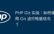 PHP Git 实战：如何使用 Git 进行性能优化？