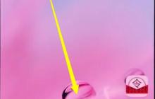 华为p20中更新版本的操作方法