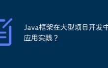 Java框架在大型项目开发中的应用实践？