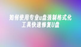如何使用专业u盘强制格式化工具快速修复U盘