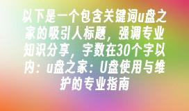 u盘之家:U盘使用与维护的专业指南