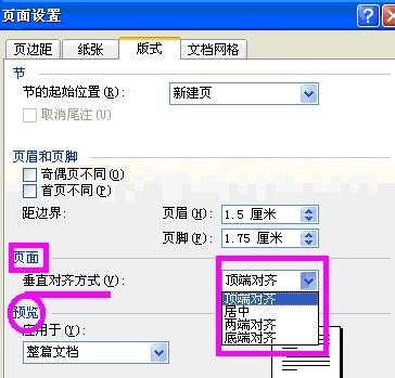 word2003中页面设置的详细操作流程