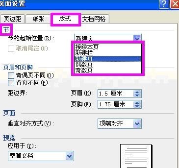 word2003中页面设置的详细操作流程