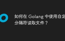 如何在 Golang 中使用自定义分隔符读取文件？