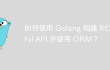 如何使用 Golang 构建 RESTful API 并使用 ORM？