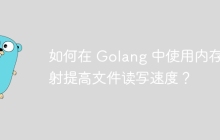 如何在 Golang 中使用内存映射提高文件读写速度？