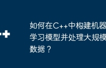 如何在C++中构建机器学习模型并处理大规模数据？