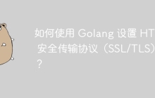 如何使用 Golang 设置 HTTP 安全传输协议（SSL/TLS）？
