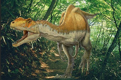 PS怎么将图片融入背景_一个设置搞定