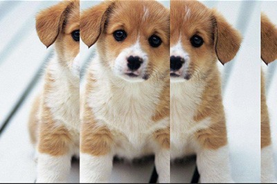 PS人物多重镜像效果制作方法_分割图片了解下