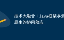 技术大融合：Java框架与云原生的协同效应