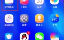 vivonex中更新软件的操作方法