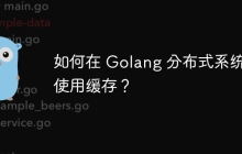 如何在 Golang 分布式系统中使用缓存？