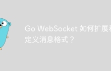 Go WebSocket 如何扩展和自定义消息格式？