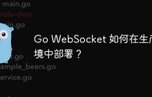 Go WebSocket 如何在生产环境中部署？