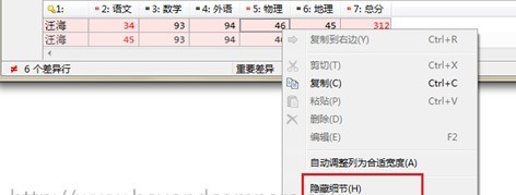 Beyond Compare隐藏与显示文本细节的具体方法介绍