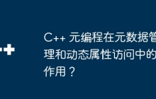 C++ 元编程在元数据管理和动态属性访问中的作用？