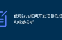 使用java框架开发项目的成本和收益分析