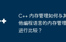 C++ 内存管理如何与其他编程语言的内存管理进行比较？