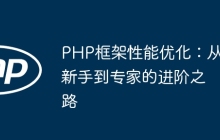 PHP框架性能优化：从新手到专家的进阶之路