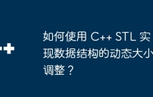 如何使用 C++ STL 实现数据结构的动态大小调整？