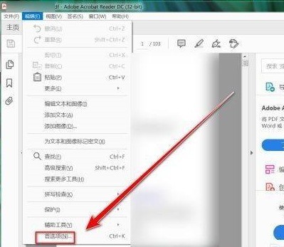 Adobe Acrobat Reader DC怎么取消超链接 Adobe Acrobat Reader DC取消超链接的方法