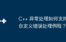 C++ 异常处理如何支持自定义错误处理例程？