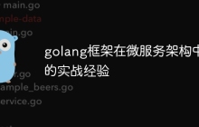 golang框架在微服务架构中的实战经验