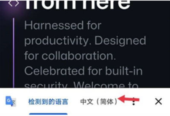 google浏览器怎么翻译网页?-google浏览器翻译网页的方法?