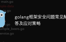 golang框架安全问题常见解答及应对策略