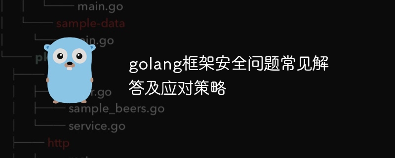 golang框架安全问题常见解答及应对策略