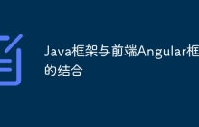 Java框架与前端Angular框架的结合